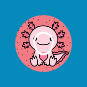ANEEDA AXOLOTL  - DEXCOM G7 OR DEXCOM STELO OVERLAY