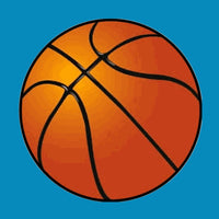 BASKETBALL - LARGE SOLID OVERLAY
