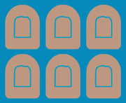 CARAMEL LATTE - MEDIUM SKIN - 6 PATCH SET - OMNIPOD OVERLAYS