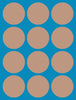 CARAMEL LATTE (MEDIUM SKIN TONE) - 12 PATCH SET - FOR THE SUGARSHIELD™ CASE BY DECK MY DIABETES for TANDEM MOBI™ INSULIN PUMP