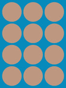 CARAMEL LATTE (MEDIUM SKIN TONE) - 12 PATCH SET - FOR THE SUGARSHIELD™ CASE BY DECK MY DIABETES for TANDEM MOBI™ INSULIN PUMP