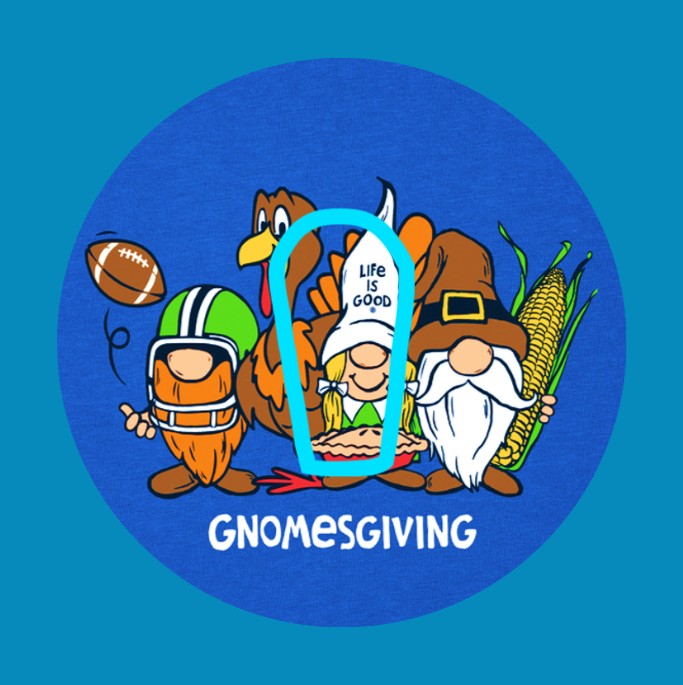 GNOMESGIVING -  DEXCOM G6 OVERLAY