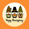 HAPPY THANKSGIVING FROM THE GNOMES PATCH
