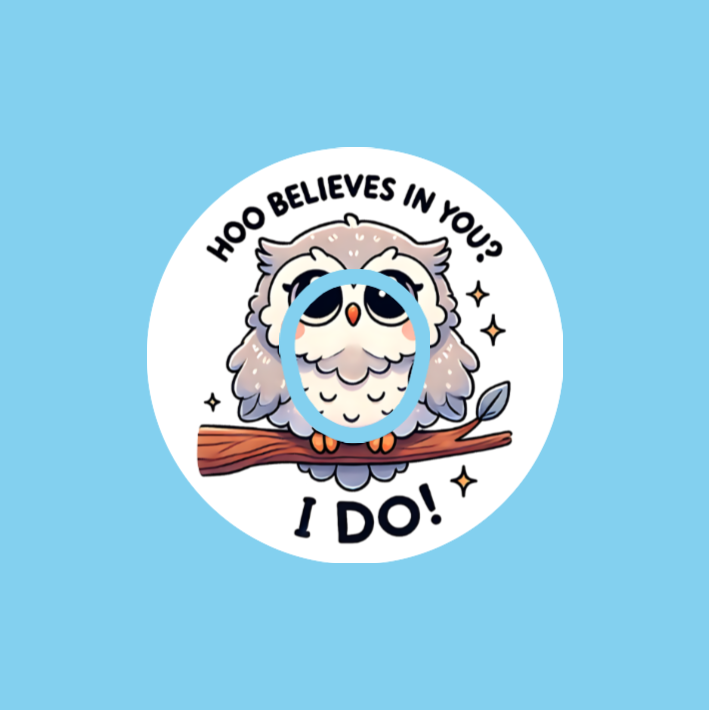 WE BELIEVE IN YOU! -  DEXCOM G7 OR DEXCOM STELO OVERLAYS  - ALL 6 PATCH DESIGNS