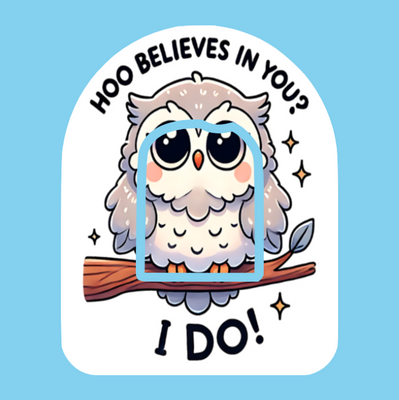 HOO BELIEVES IN YOU! OWL -  OMNIPOD OVERLAY