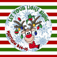 LET YOUR LIGHT SHINE - REINDEER PATCH
