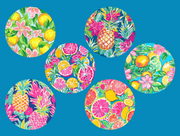 TROPICAL FRUIT - 6 PATCH SET FOR THE SUGARSHIELD™ CASE BY DECK MY DIABETES for TANDEM MOBI™ INSULIN PUMP
