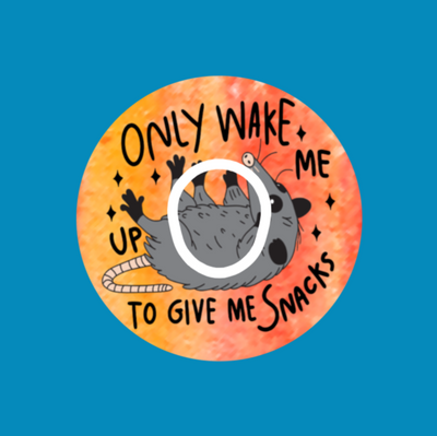 WAKE ME TO GIVE ME SNACKS - OPOSSUM - DEXCOM G7 OR DEXCOM STELO OVERLAY