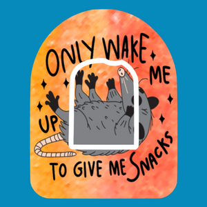 WAKE ME TO GIVE ME SNACKS - OPOSSUM -  OMNIPOD OVERLAY