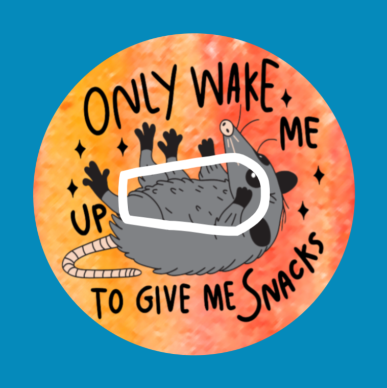 WAKE ME TO GIVE ME SNACKS - OPOSSUM -  DEXCOM G6 OVERLAY