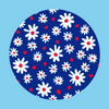 PATRIOTIC DAISIES PATTERN - LARGE SOLID OVERLAY