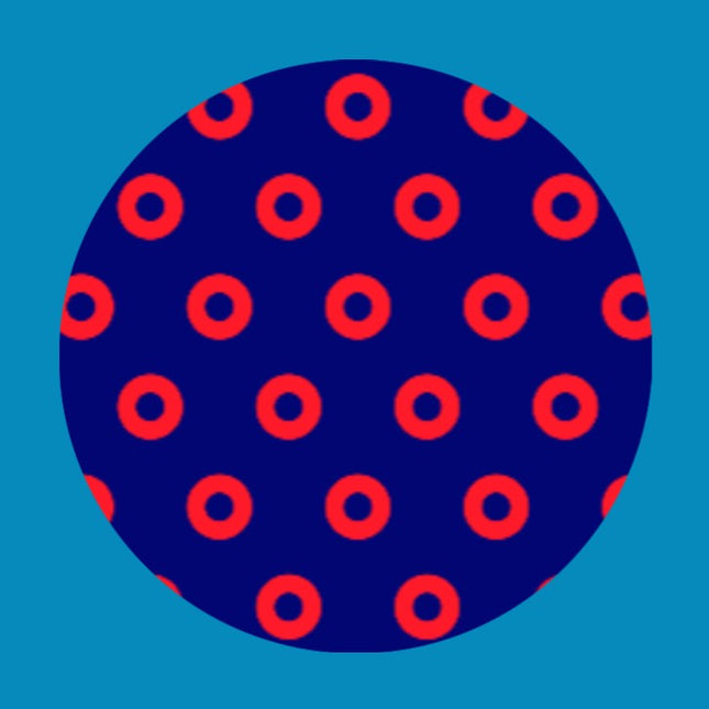 PHISH PHAN DONUT PATTERN - LARGE SOLID OVERLAY