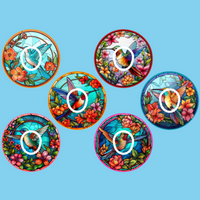 STAINED GLASS HUMMINGBIRDS - 6 PATCH SET - DEXCOM G7 OR DEXCOM STELO OVERLAYS