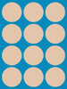 VANILLA CREME (LIGHT SKIN TONE) - 12 PATCH SET - FOR THE SUGARSHIELD™ CASE BY DECK MY DIABETES for TANDEM MOBI™ INSULIN PUMP