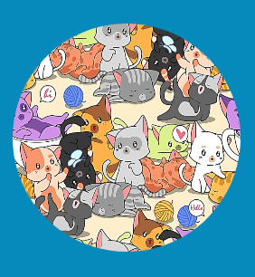 KITTEN FUN