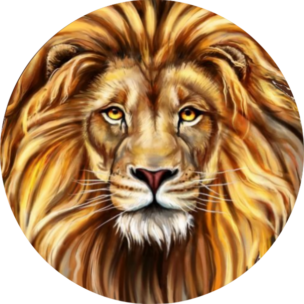 King of the Jungle - Lion