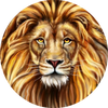 King of the Jungle - Lion