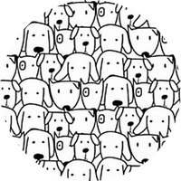 LOTS OF PUPS