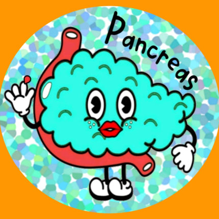 PANCREAS PAL OBLONG OVAL PATCH