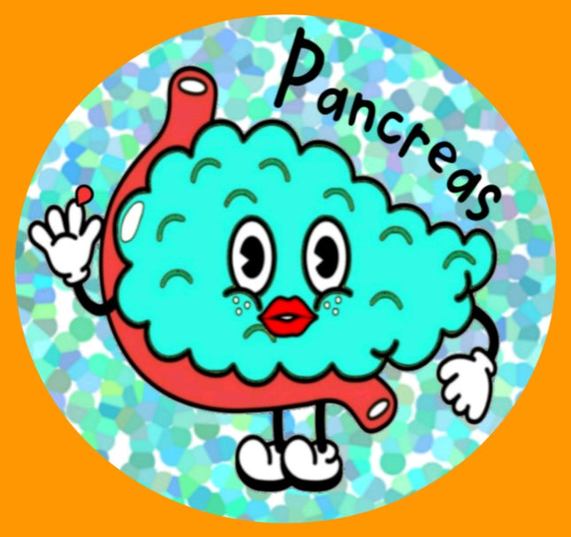 PANCREAS PAL OBLONG OVAL PATCH