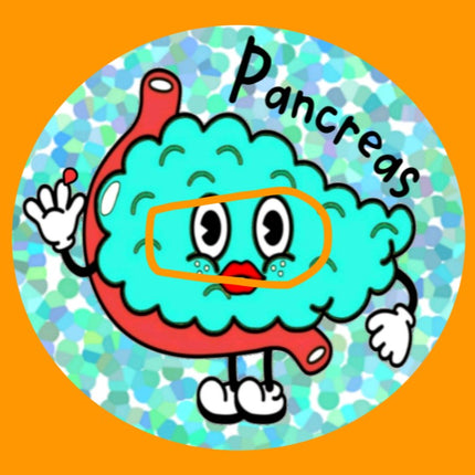 PANCREAS PAL OBLONG OVAL PATCH