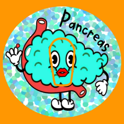 PANCREAS PAL OBLONG OVAL PATCH