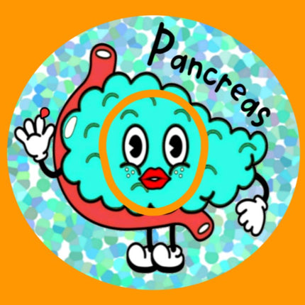 PANCREAS PAL OBLONG OVAL PATCH