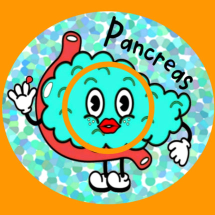 PANCREAS PAL OBLONG OVAL PATCH