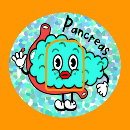 PANCREAS PAL OBLONG OVAL PATCH