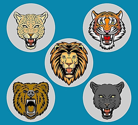 WILD THINGS CIRCULAR 5 PATCH SET