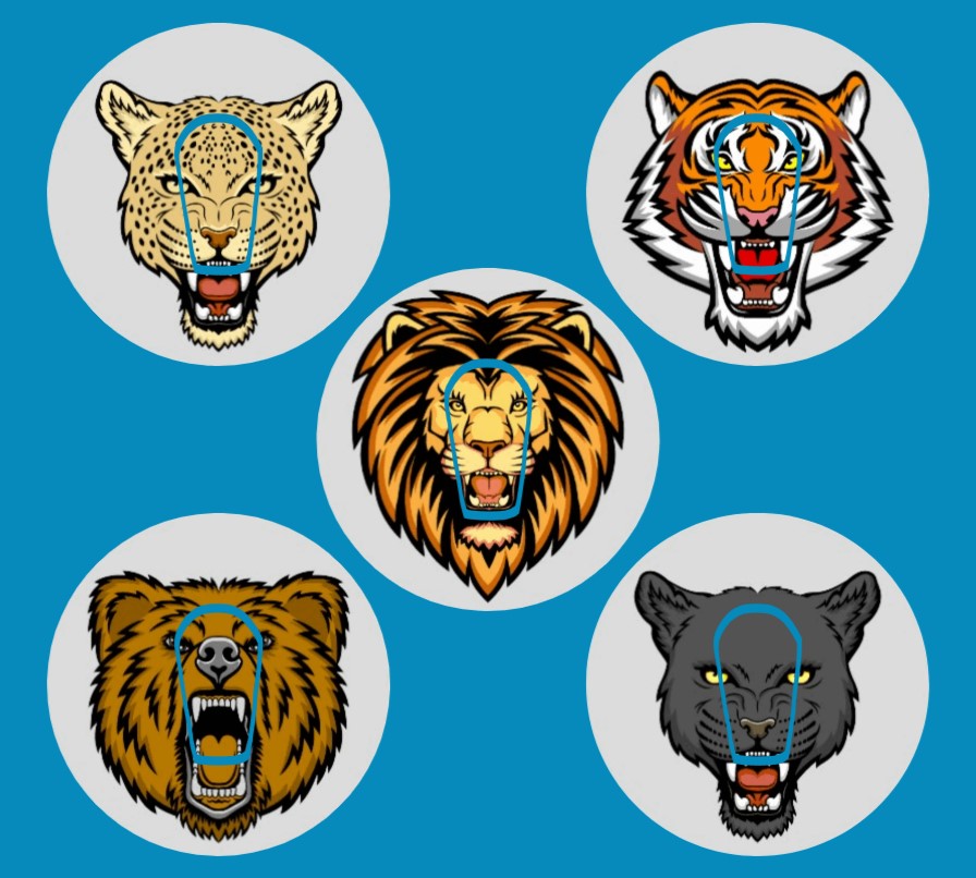 WILD THINGS CIRCULAR 5 PATCH SET